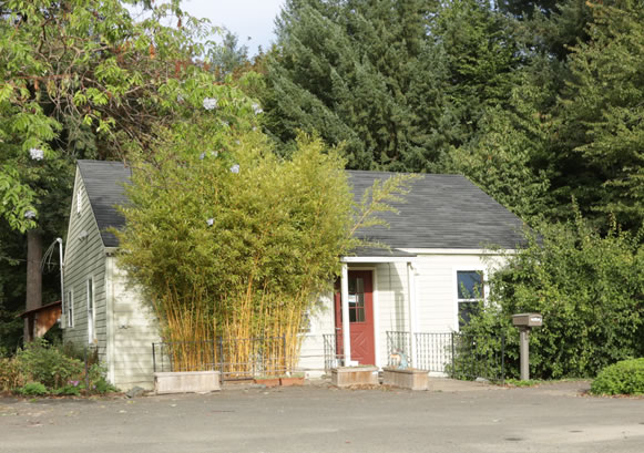 Abbey Road Clinic, Lafayette, OR